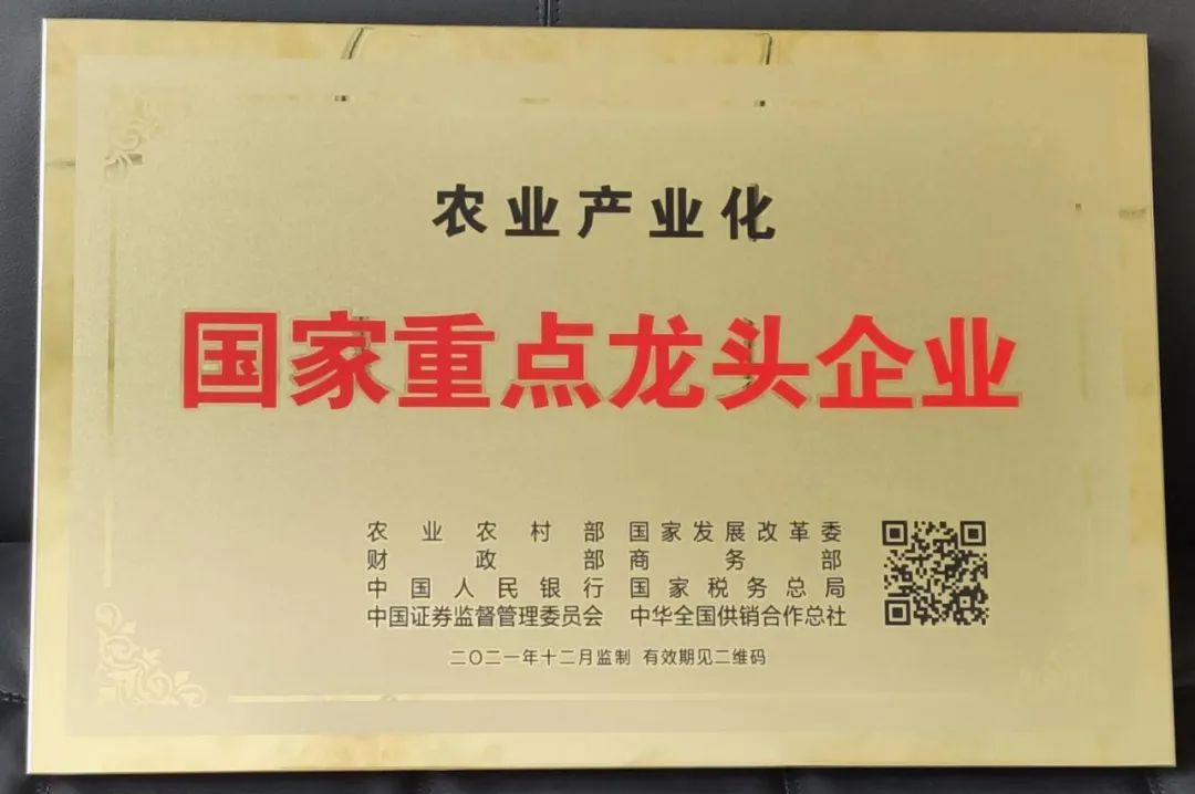 青岛国信水产获评山东省农业产业化重点龙头企业，引领行业发展